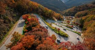 Konaklı’da Trafik Düzenlemeleri ve Yeni Uygulamalar